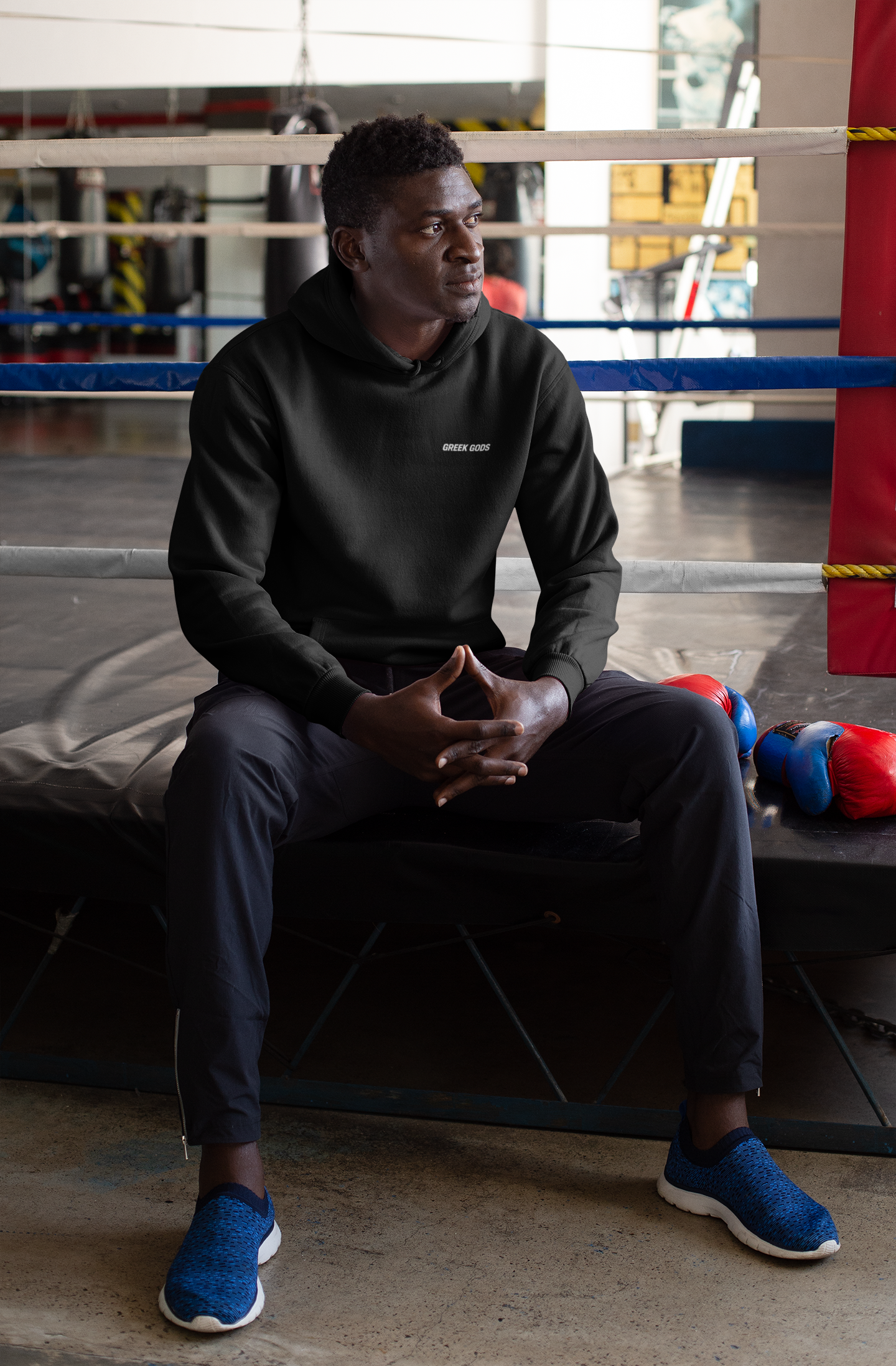 Heavy Pump Cover Premium Hoodie - Herakles